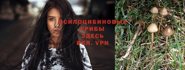бошки Кулебаки